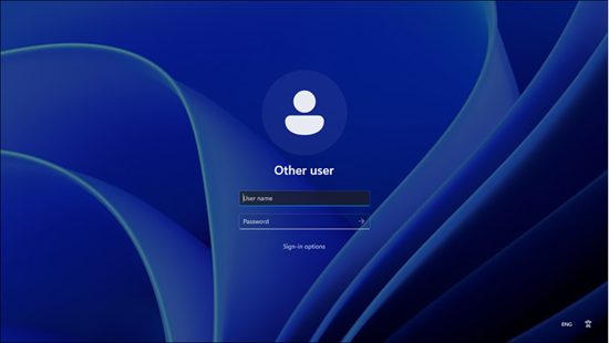 Hide Display Last Sign-in on Windows Logon